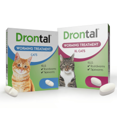 Drontal Cat All Sizes with Product