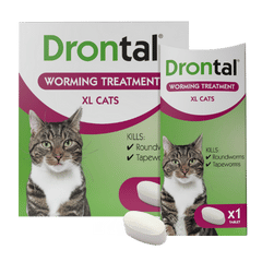 Drontal-Tablets-Cats-XL-Product-NoShadow-NoBk